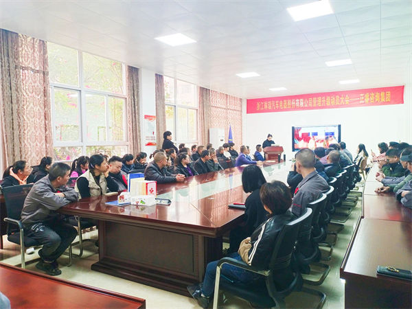 浙江琳瑞汽車電器股份有限公司系統管理升級咨詢項目啟動