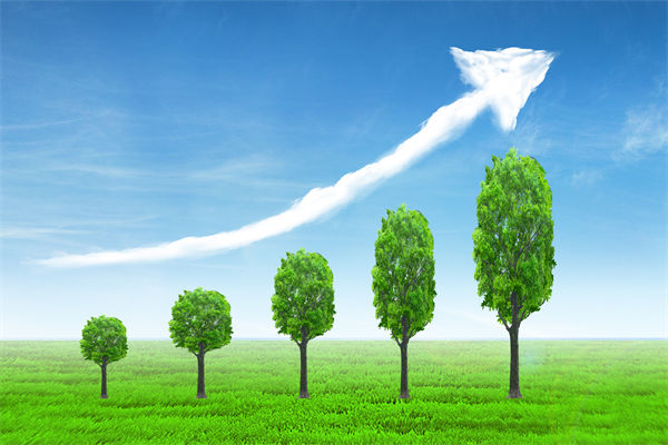 植樹就是植未來，對企業(yè)的戰(zhàn)略規(guī)劃有哪些啟示？