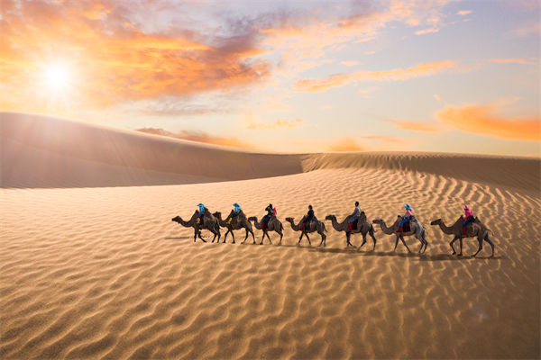 企業文化管理失效？這三大認知誤區為何拖垮團隊？