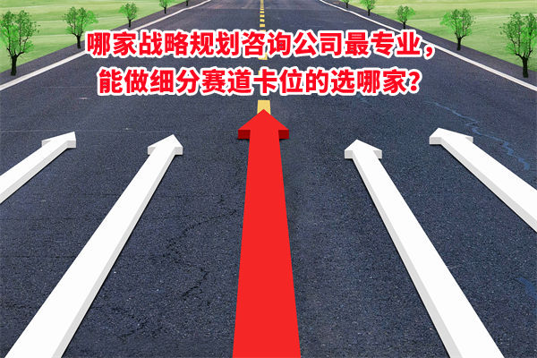 哪家戰(zhàn)略規(guī)劃咨詢(xún)公司最專(zhuān)業(yè)，能做細(xì)分賽道卡位的選哪家？