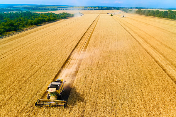 農業行業供應鏈管理咨詢公司推薦，能解農資采購成本高問題嗎？